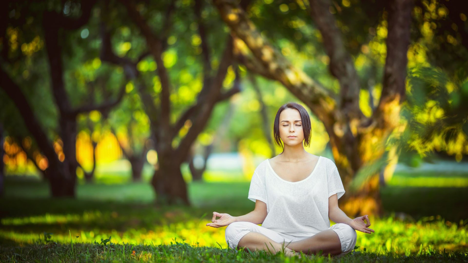 极限绝杀！美国2-1险胜葡萄牙，塔雷米独造两球仍难救主，这届世界杯太疯狂了
